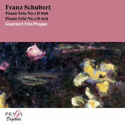 Piano Trio No. 1 in B-Flat Major, Op. 99, D. 898: II. Andante un poco mosso