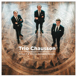 Piano Trio No. 1 in D Minor, Op. 49: IV. Finale. Allegro assai appassionato
