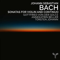 Violin Sonata in C Minor: II. Allegro