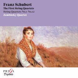 String Quartet No. 9 in G Minor, D. 173: I. Allegro con brio