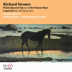 Capriccio, Introduction for String Sextet in F Major: Andante con moto