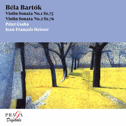 Sonata for Violin and Piano No. 1, Op. 21, Sz. 75: I. Allegro appassionato