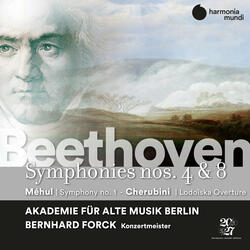 Symphony No. 4 in B-Flat Major, Op. 60: IV. Allegro ma non troppo