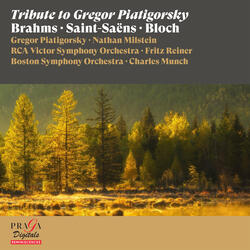 Double Concerto in A Minor, Op. 102: III. Vivace non troppo