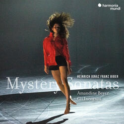 Mystery (Rosary) Sonata No. 10 in G Minor, The Crucifixion and Death of Jesus: II. Aria - Variatio - [Variatio]