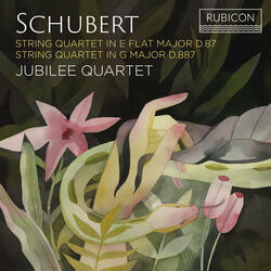 String Quartet No. 15 in G Major, D. 887: III. Scherzo. Allegro vivace - Trio. Allegreto