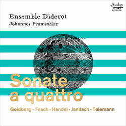 Sonata in A Minor, TWV 43:a5: IV. Largo e staccato, Allegro