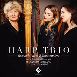 Grand Duo de Harpes: Allegro con brio