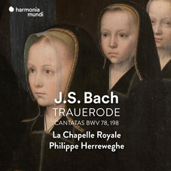 Laß, Fürstin, laß noch einen Strahl, BWV 198, Prima pars: Recitativo "Dein Sachsen"