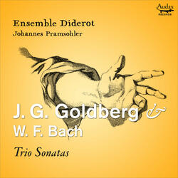 Trio Sonata in B-Flat Major: IV. Ciacona