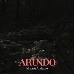 Piano Sonata No. 16 in C Major, K. 545 (Arr. Arundo for Saxophone and Piano): II. Andante