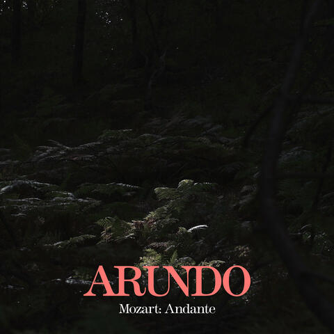 Piano Sonata No. 16 in C Major, K. 545 (Arr. Arundo for Saxophone and Piano): II. Andante