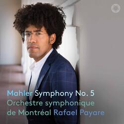 Symphony No. 5 in C-Sharp Minor, Dritte Abteilung: V. Rondo-Finale. Allegro