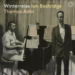 Winterreise, Op. 89, D. 911: No. 23, Die Nebensonnen