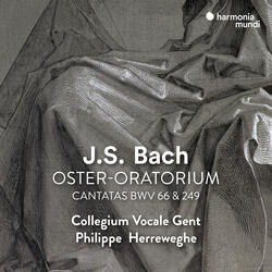 Cantata, BWV 249 "Oster-Oratorium": VII. Aria "Sanfte soll mein Todeskummer"