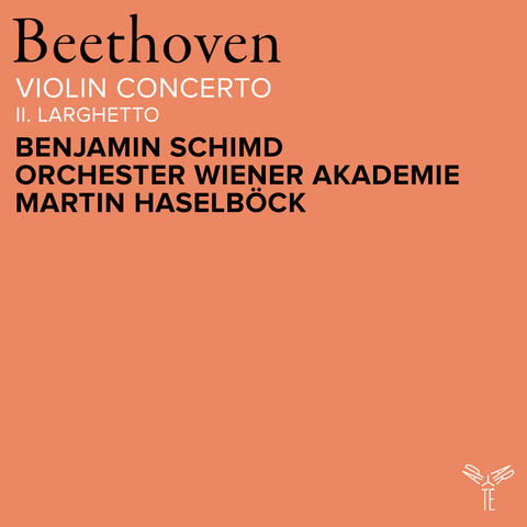 Beethoven: Violin Concerto in D Major, Op. 61: II. Larghetto