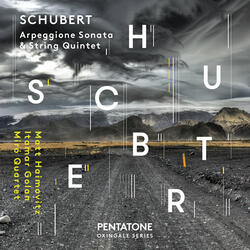 String Quintet in C Major, Op. 163, D. 956: II. Adagio