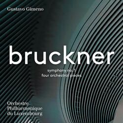 Symphony No. 1 in C Minor, WAB 101: II. Adagio