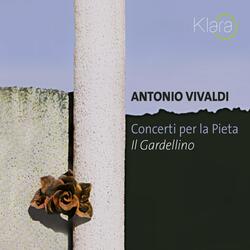 Concerto in C Minor, RV 441: II. Largo