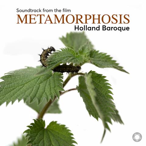 Metamorphosis (Soundtrack)