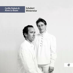 Winterreise, D. 911: No. 14, Der greise Kopf