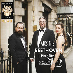 Piano Trio in C Minor, Op. 1, No. 3: IV. Finale. Prestissimo