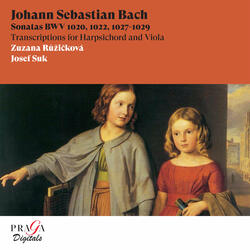 Sonata No. 2 in D Major, BWV 1028 (Transcribed for Harpsichord and Viola): I. Adagio