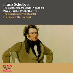String Quartet No. 14 in D Minor, D. 810 "Death and the Maiden": IV. Presto