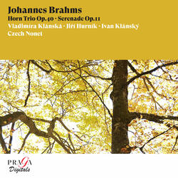 Serenade No. 1 in D Major, Op. 11: IV. Minuet I - Minuet II