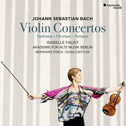 Violin Concerto in E Major, BWV 1042: II. Adagio