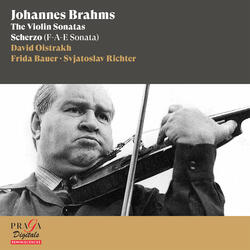 Violin Sonata No. 1 in G Major, Op. 78: I. Vivace ma non troppo