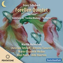 Variations on Trockne Blumen for Flute and Piano, Op. 160, D. 802: Variation II