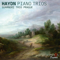 Piano Trio No. 40 in F-Sharp Minor, Hob.XV:26: III. Tempo di minuetto