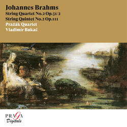 String Quartet No. 2 in A Minor, Op. 51 No. 2: I. Allegro non troppo