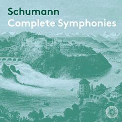 Symphony No. 4 in D Minor, Op. 120: IV. Langsam - Lebhaft