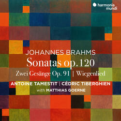 Zwei Gesänge, Op. 91: II. Geistliches Wiegenlied