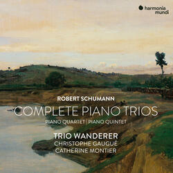 Piano Trio No. 1 in D Minor, Op. 63: I. Mit Energie und Leidenschaft