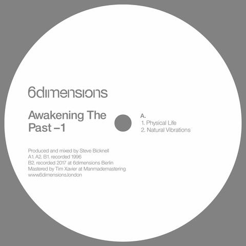 Awakening the Past