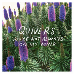 You're Not Always On My Mind