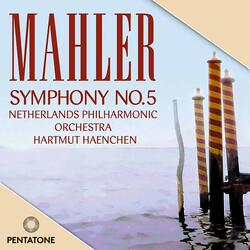 Symphony No. 5 in C-Sharp Minor: II. Sturmisch bewegt