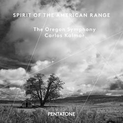 Symphony No. 3: III. Andantino quasi allegretto
