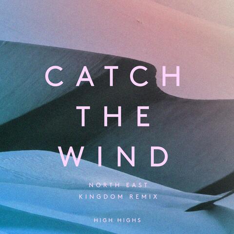 Catch the Wind