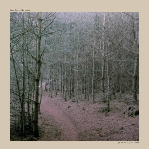 Je ne suis pas tombé