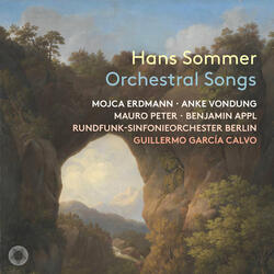 Hunold Singuf, Op. 4: No. 6, Sommerspiel