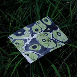 Tall Grass