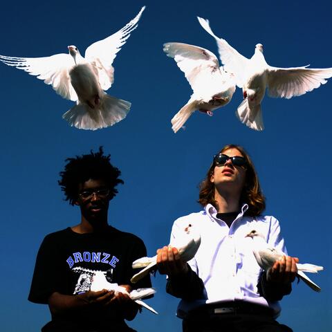 Birds Fly By Night
