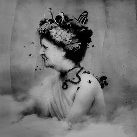 Empress Rising