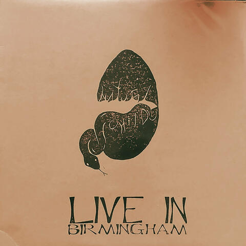 Live in Birmingham 5/17/2013