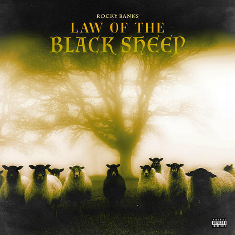 Law of the Black Sheep