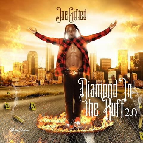 Diamond In The Ruff 2.0